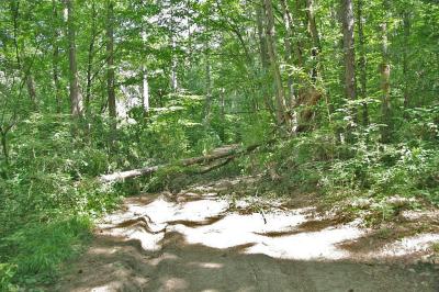 Прикрепленное изображение: IMGP6615.jpg